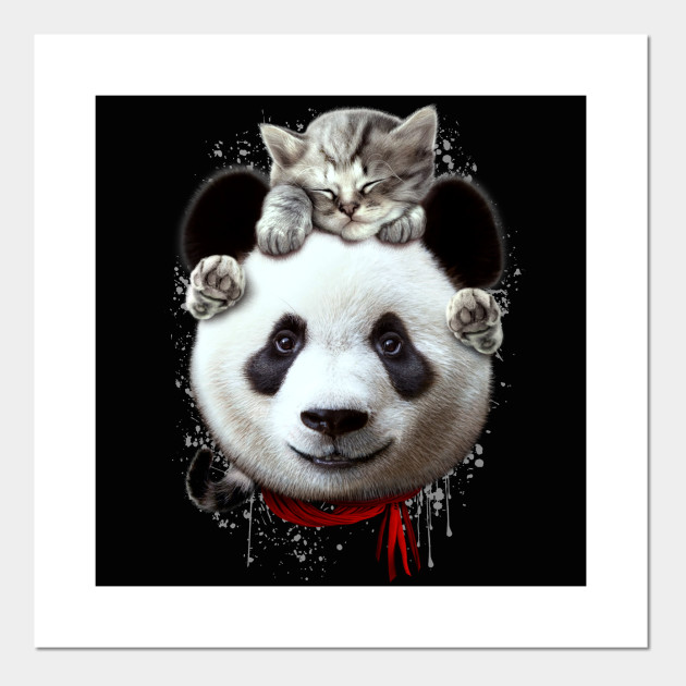 CAT ON PANDA